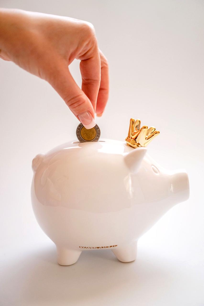 Professional financial advisor consulting with young client using digital tools and charts