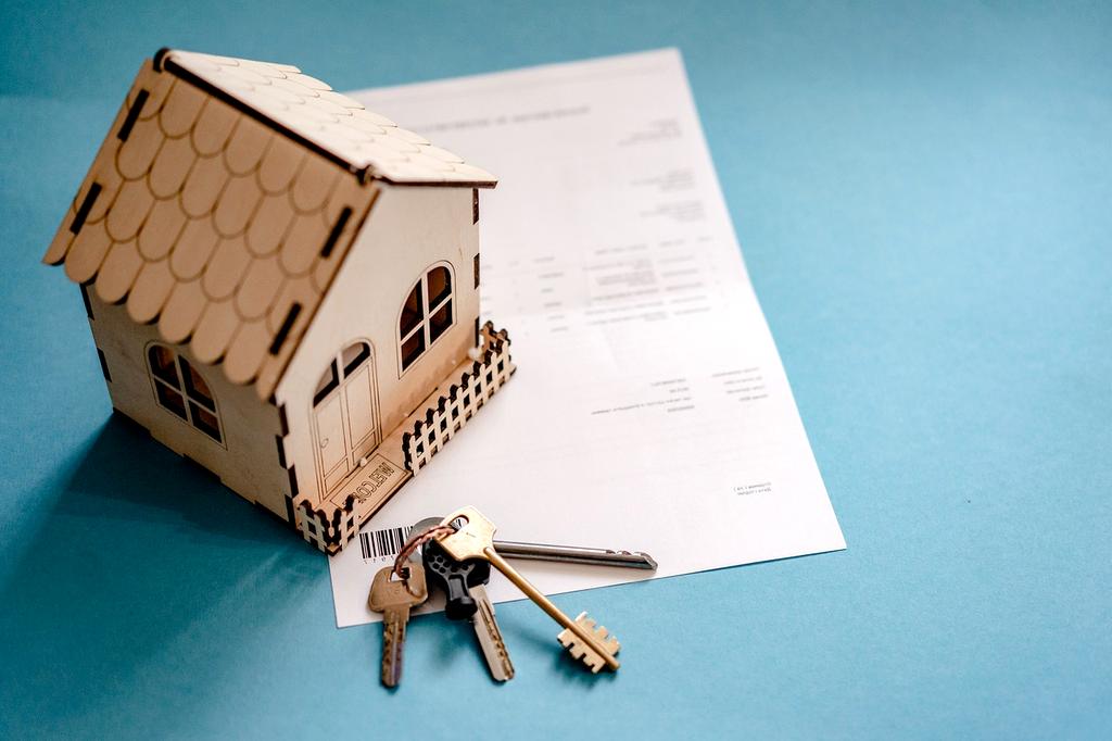 David Kim - Insurance and Protection Planner analyzing coverage options